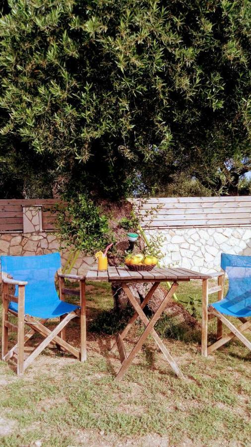 Villa Julia Tsilivi  Exteriör bild